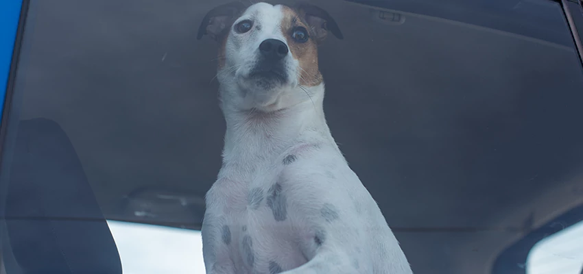 Car Lockout Solutions in Atwater, California